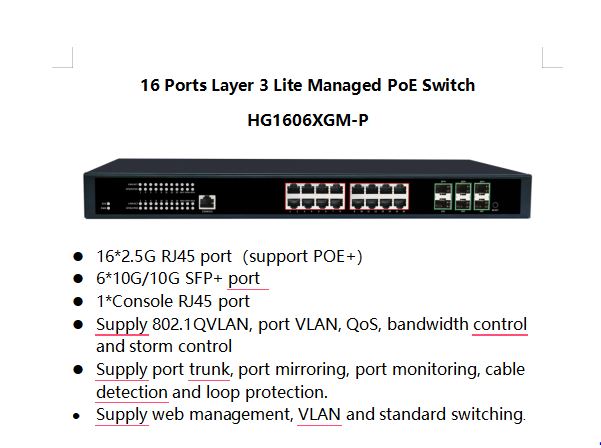 16-Port 2.5G PoE Switch with 6× 10G SFP | POE-25G1604-220 (220V)