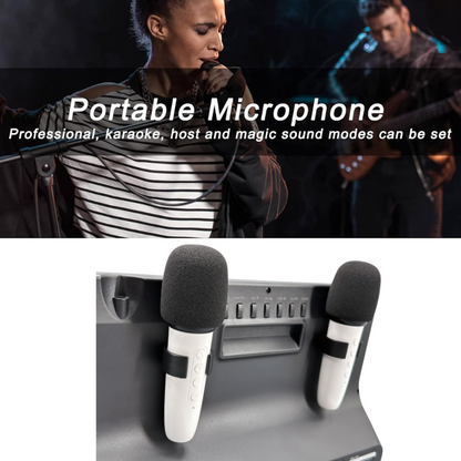 14" Portable TV | Karaoke, 8800mAh | LED-MT1400K